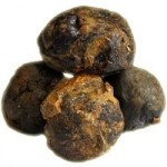 Лікування прополісом органів дихання